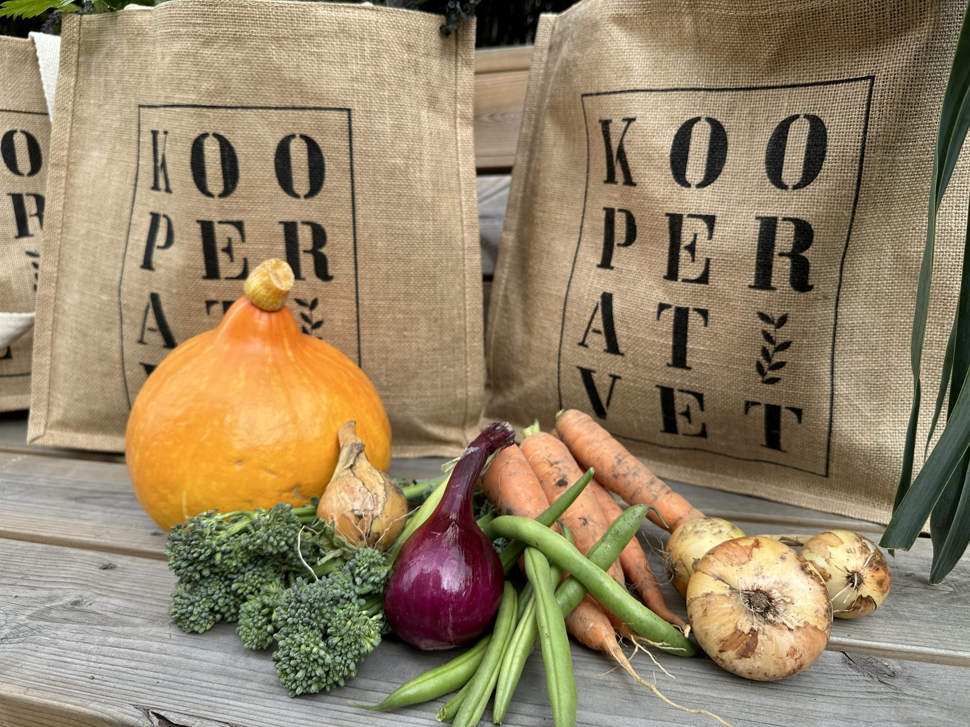 Oslo Kooperativ grønnsakspose